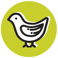 Quail